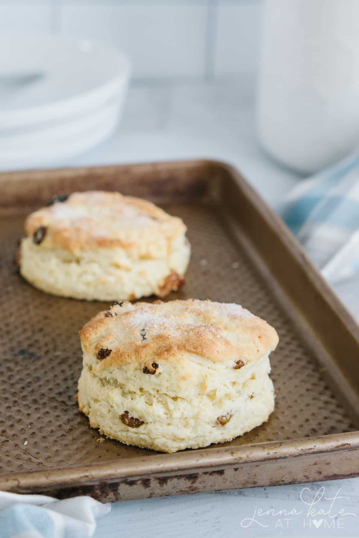 Close up of the fluffy scone with raisins visible and a golden brown top