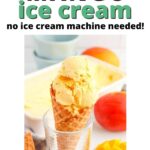 mango ice cream pin image
